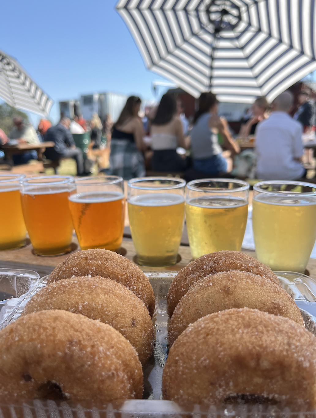 6 must-do activities in Charlotte this fall